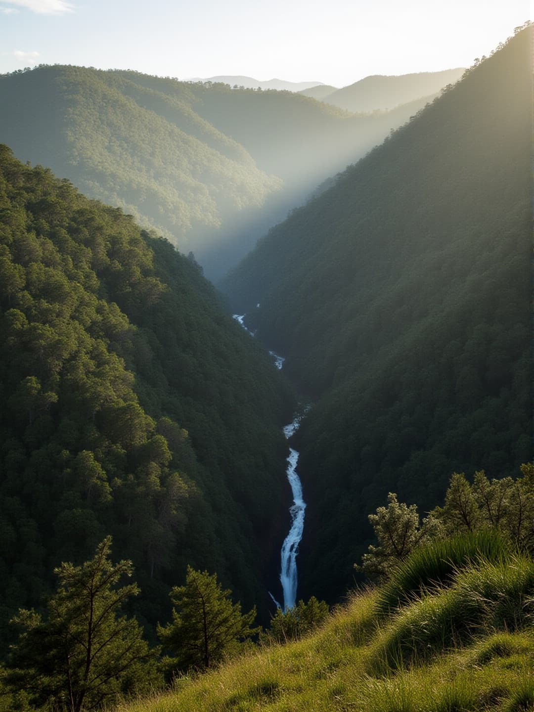 Eastern Highlands